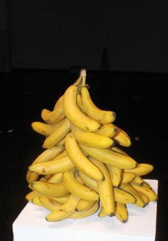 Árbol de Navidad en plátanos