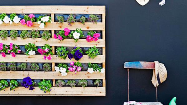 plantar flores en las tarimas y colgarlas en la pared