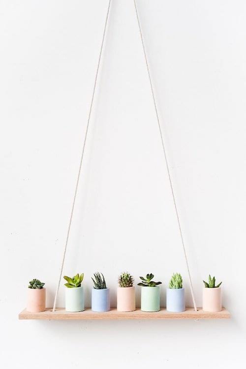 decoración moderna con cactus