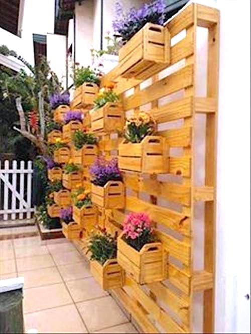 Varias plantas en una jardinera realizada en palet de madera
