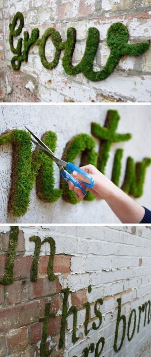Un graffiti de pared vegetal