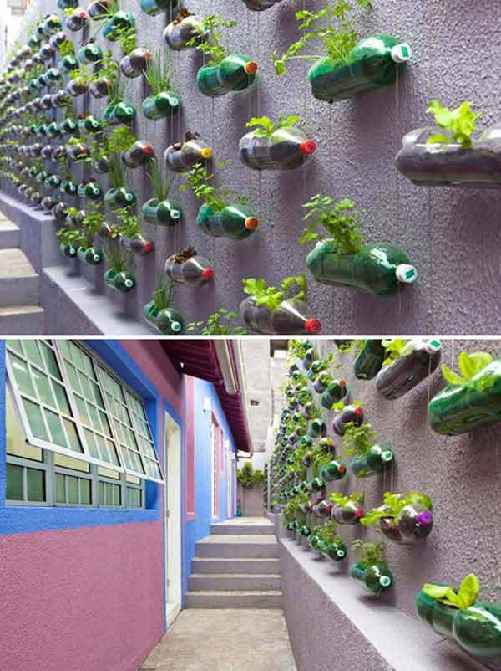 crea un jardín colgante con una botella reciclada