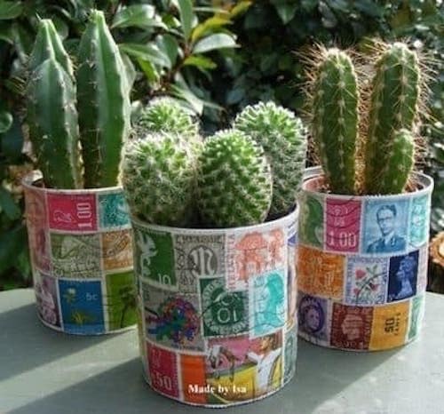 Latas cubiertas con varios sellos con mini cactus en su interior