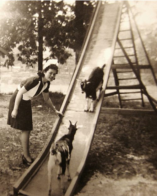 Mujer recostada junto a un tobogán con dos cabras