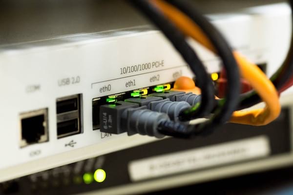 cables ethernet conectados a un dispositivo