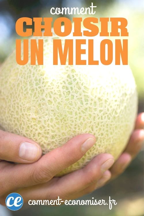 Manos que sostienen un melón.