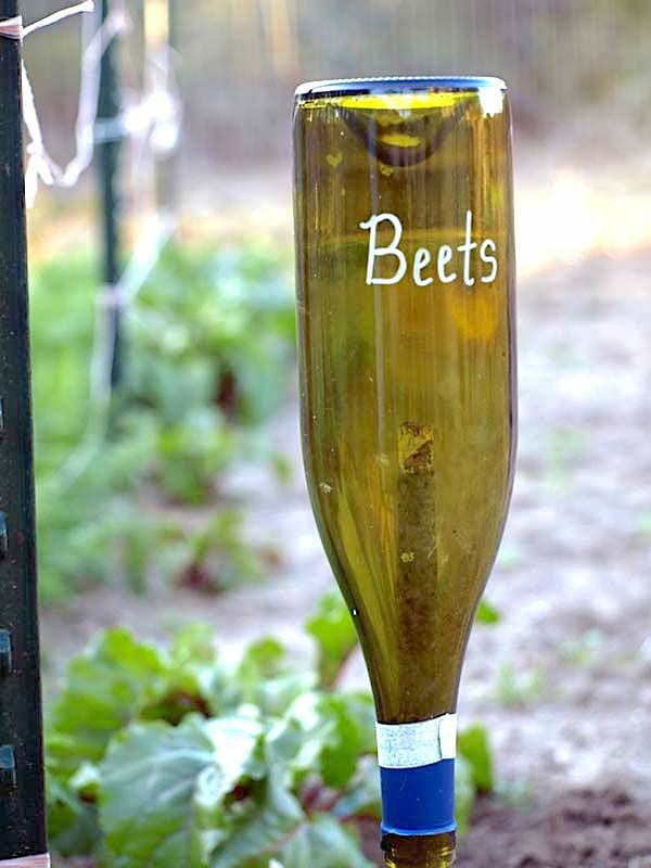 Una botella de vino al revés para hacer un marcador de plantas.