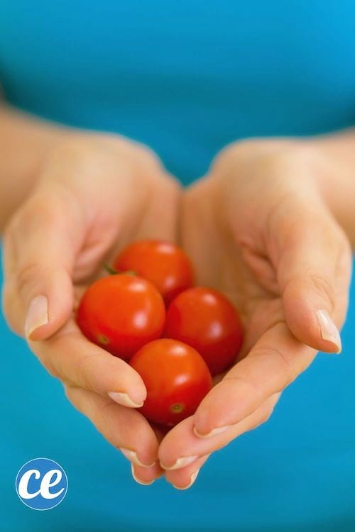 Manos sosteniendo tomates cherry.