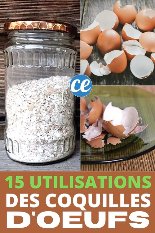 15 formas de reutilizar las cáscaras de huevo