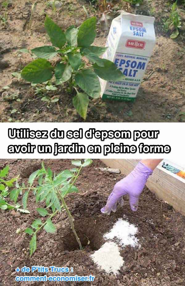Use sal de Epsom para un jardín saludable