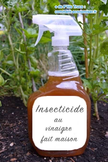 insecticida elaborado con vinagre