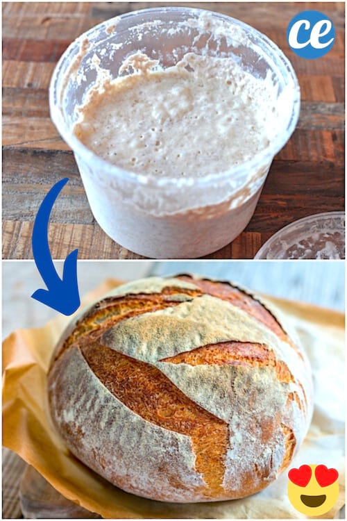 ¿Cómo hacer levadura de panadería casera? Aquí hay 3 tutoriales sencillos.