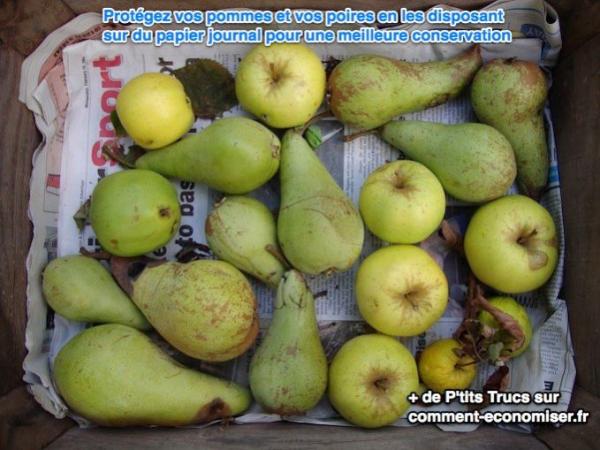 use periódico para almacenar manzanas y peras