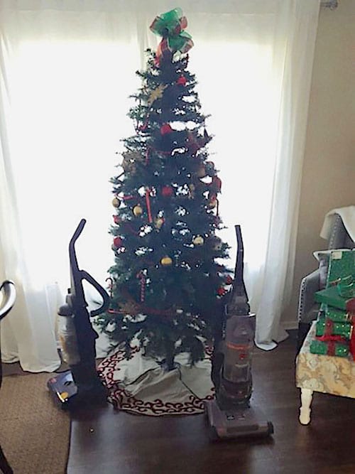 Aspiradoras colocadas frente al árbol de Navidad para protegerlo del perro