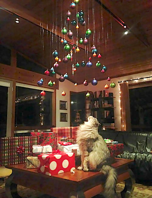 Bolas de Navidad colgando del techo con el gato mirándolas