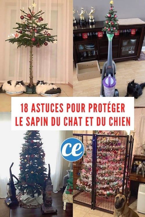 15 consejos para proteger los árboles de Navidad de perros y gatos