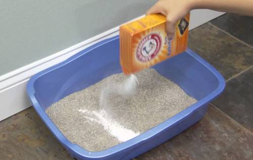lavar la arena para gatos con bicarbonato de sodio