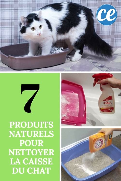 बिल्ली कूड़े के डिब्बे को स्वाभाविक रूप से कैसे साफ करें
