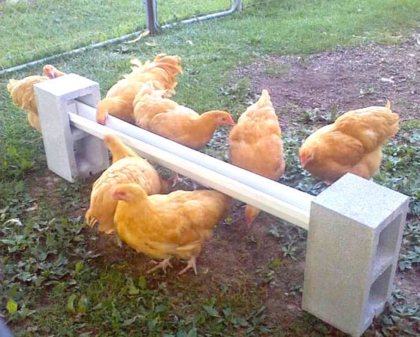 como hacer comedero para pollos con canaleta