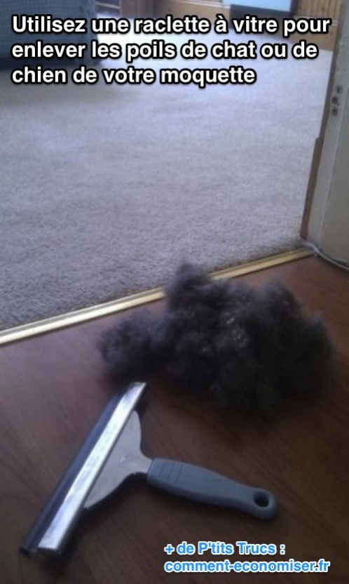 Use una escobilla de goma para ventanas para quitar el pelo de animales de la alfombra
