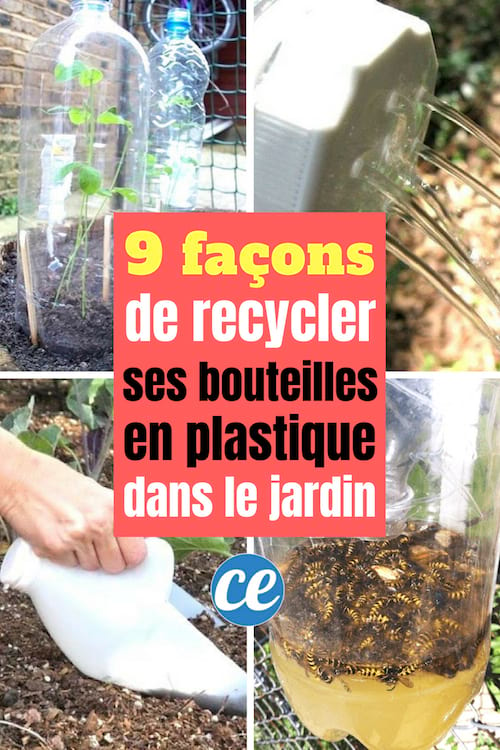 9 formas de reciclar botellas de plástico en el jardín