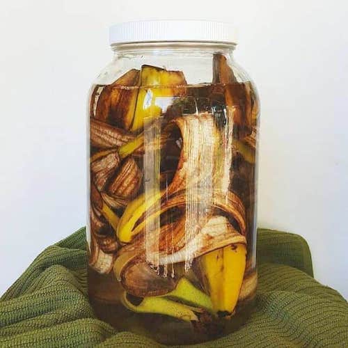 制作香蕉皮醋的简单食谱