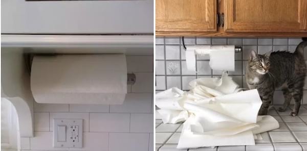 Un dispensador de toallas de papel de pared con un gato desenrollando todo el rollo