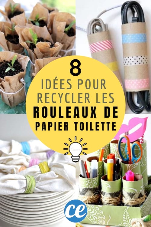 8 formas de reciclar rollos de papel higiénico