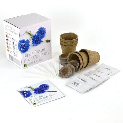 Murang Edible Flower Kit