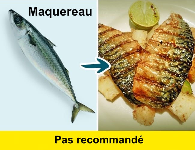 Makrell er en fisk å unngå fordi den inneholder kvikksølv