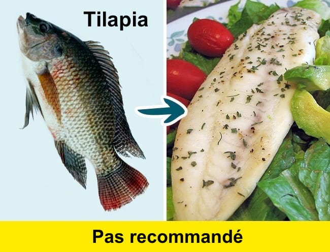 Avoid eating tilapia because it is too oily fish