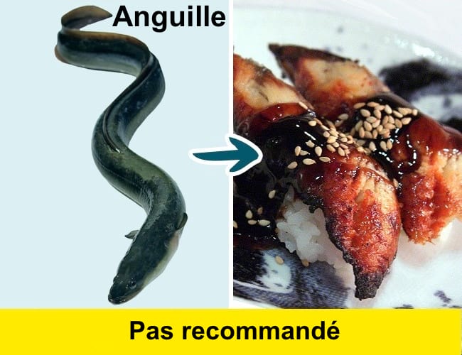 Avoid eating eel because it is a fish that absorbs industrial waste in the water