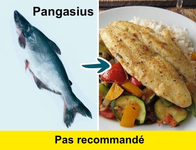 Avoid eating pangasius because it is full of toxic products