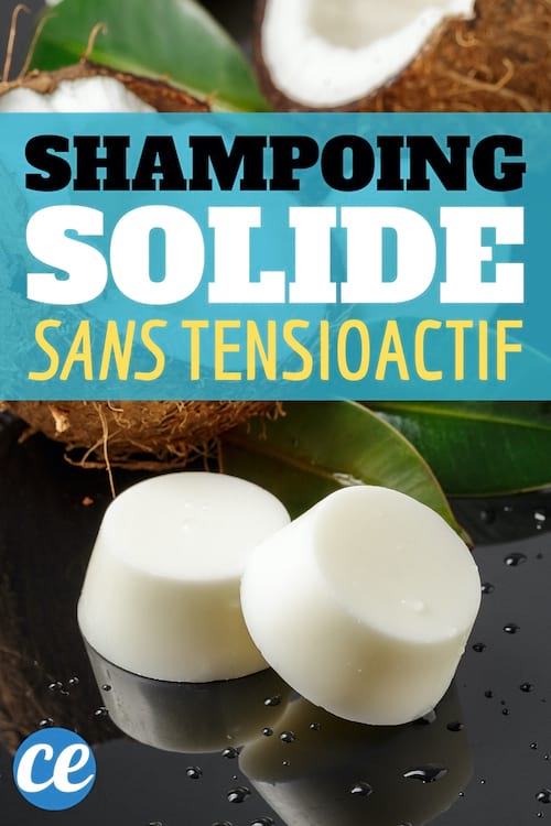 2 repen vaste shampoo zonder oppervlakteactieve stoffen met kokosmelk