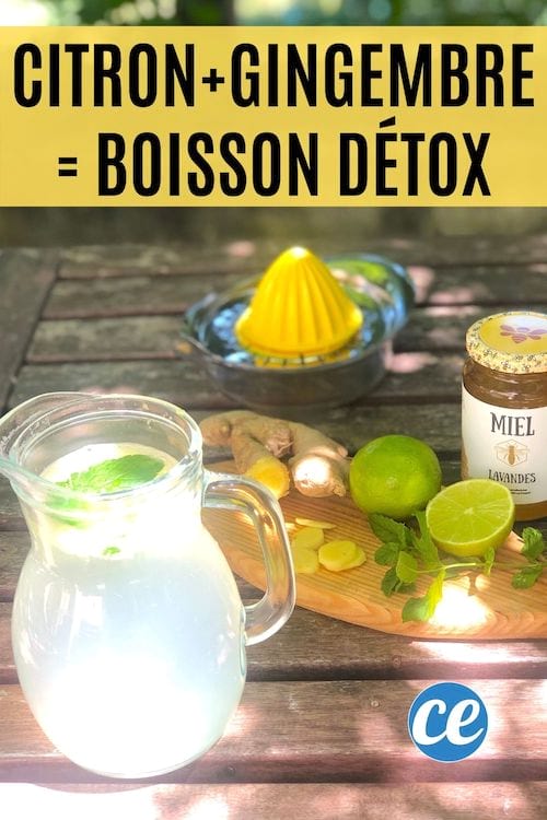 La receta fácil para la bebida desintoxicante de jengibre, limón y menta