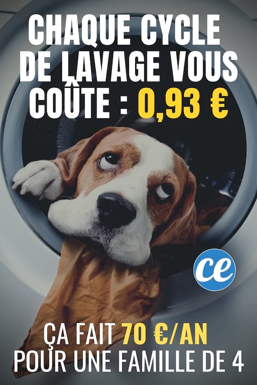 Cada cicle de rentat a la rentadora et costa 0,93 €