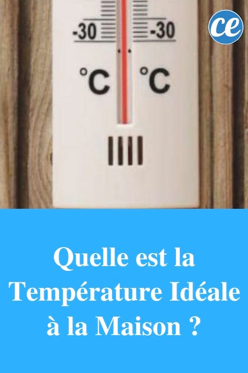 La temperatura ideal en la casa es de 19 grados.