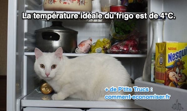 temperatura ideal del frigorífico