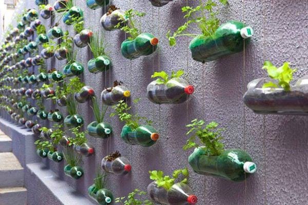 Reciclar botellas de plástico en jardín vertical