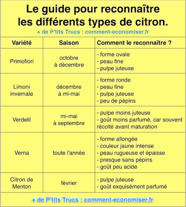 How to distinguish and recognize the different types and varieties of lemon?