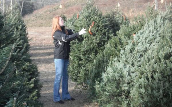uma mulher escolhe uma árvore para o natal