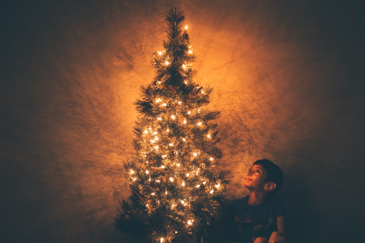2 consejos para hacer que su árbol de Navidad dure más.