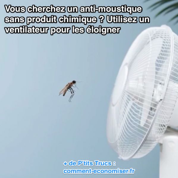 ¿Buscas un repelente de mosquitos sin productos químicos? Usa un ventilador para mantenerlos alejados.