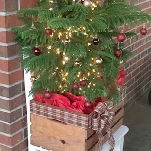 شجرة عيد الميلاد في قفص خشبي