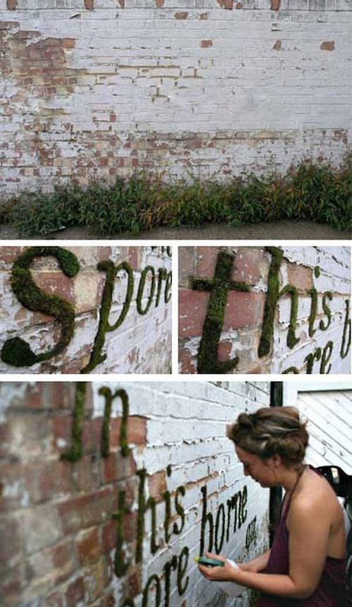 Escriptura en flor a la paret exterior
