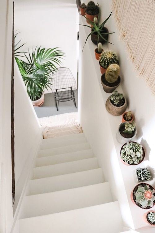 decora las escaleras con cactus
