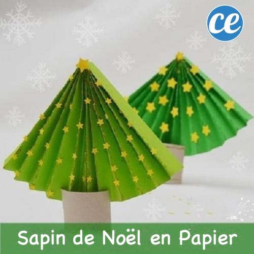 2 עצי חג המולד עשויים מגלילי נייר טואלט צבוע ירוק ומעוטר בדוגמאות כוכבים