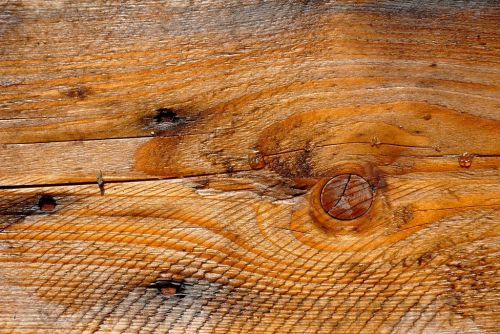 Tabla de cortar de madera para bricolaje