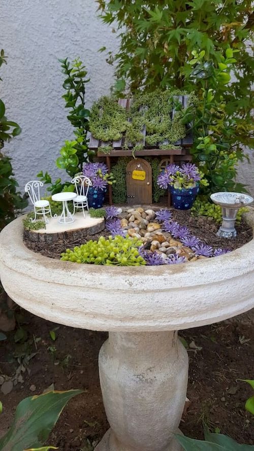 un jardí decoratiu en miniatura en un bany d'ocells
