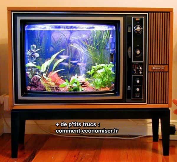 Viejo televisor reciclado en acuario